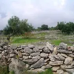 Sunset Zecevo *